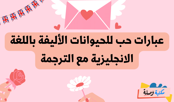 عبارات بالانجليزية عن الحب